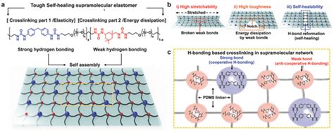 Basic Approaches to the Design of Intrinsic Self-Healing Polymers for ...
