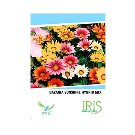 Buy Iris Imported Gazania Sunshine Mix Flower Seeds Online - KisanShop