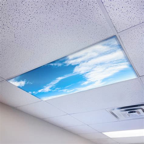 Fluorescent Light Covers Office