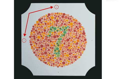 Ishihara Color Vision Testing 的图像结果