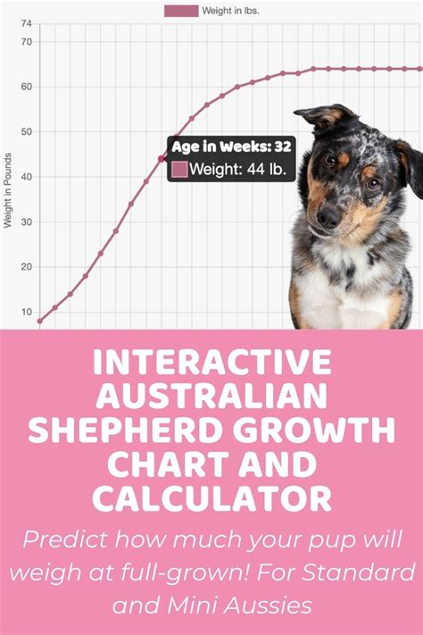 Mini Aussie Growth Chart 的图像结果
