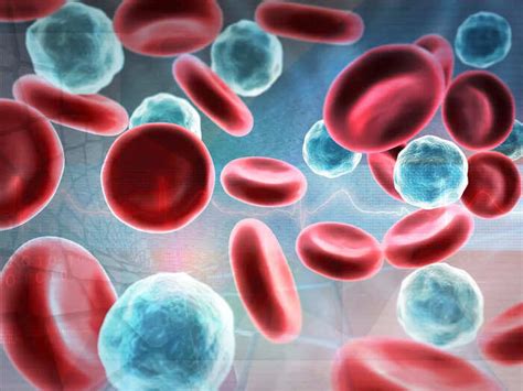 how to increase red blood cells count by eating foods know essential ...