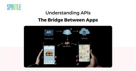 Image result for API Testing with Postman Guide