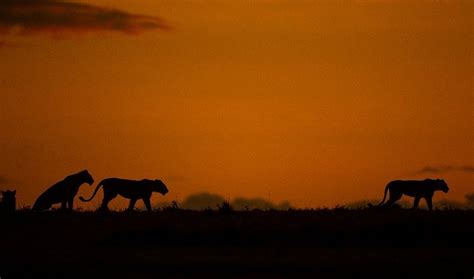 CASA NADREYA (Rongai) - Hotel Reviews, Photos, Rate Comparison ...