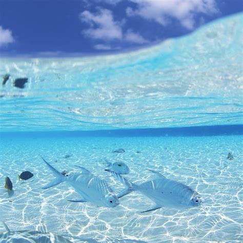 Ocean iPad Wallpapers - Wallpaper Cave