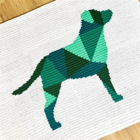 Image result for Graphgan Crochet Tutorials