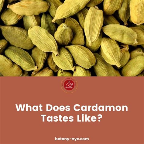 What Is Cardamom: 3 Ways to Find Out What Cardamon Tastes Like