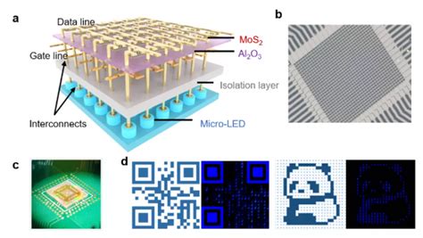 Micro LED MIP Process 的图像结果