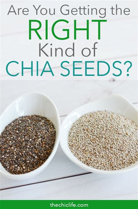 what kind of seeds are chia seeds