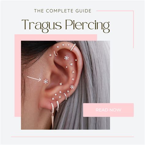 Piercing Tragus Can A Daith Or Tragus Piercing Help With Migraine?