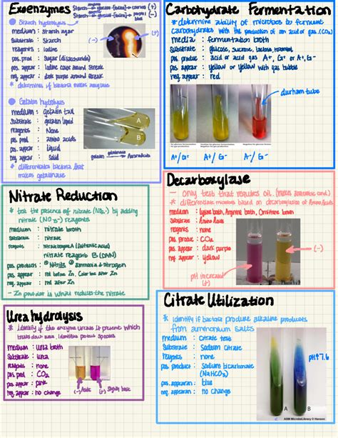 Biochemical Experiments 的图像结果