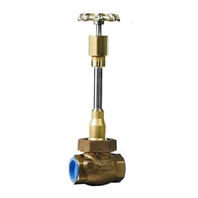 Rego Valve Rego Cryogenic Globe Valve with 12 NPT Thread 600 India | Ubuy