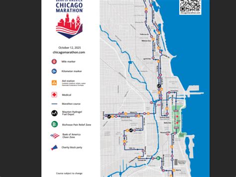 Top Binary Options Online Flevoland