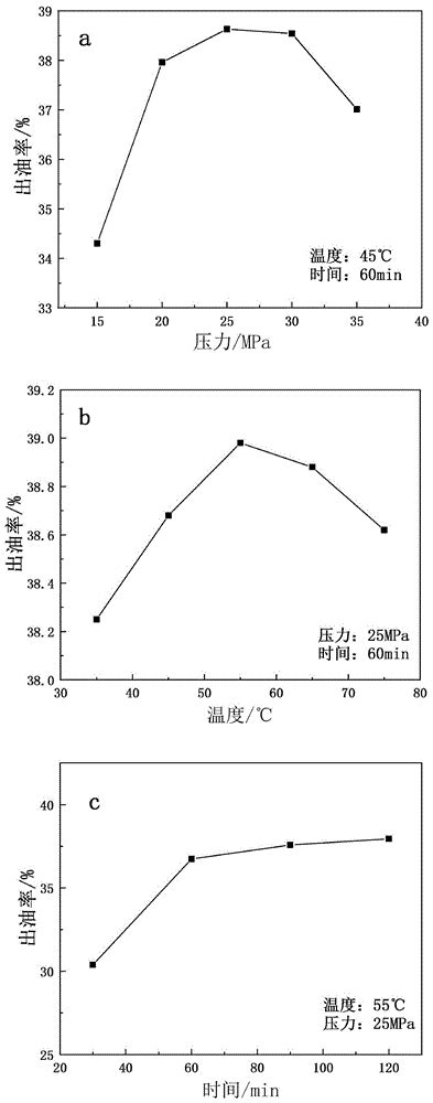 樟树_CO土木在线