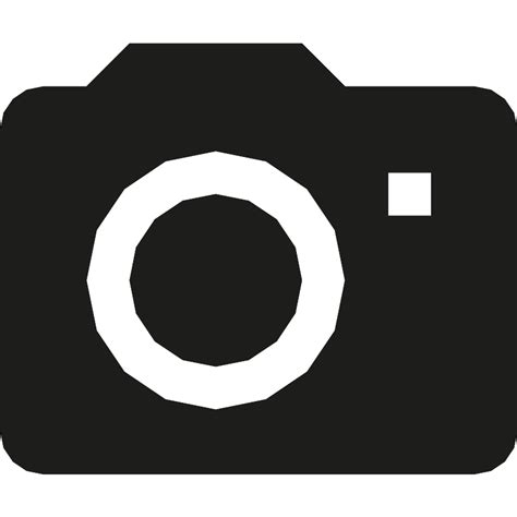 Simple Camera SVG 的图像结果