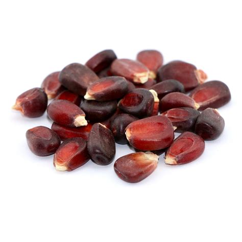 Non Hybrid Field Corn Seeds