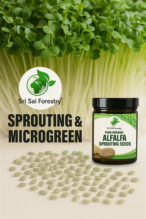 Online Shop | Buy Seeds from Sri Sai Forestry at Best Price in India ...