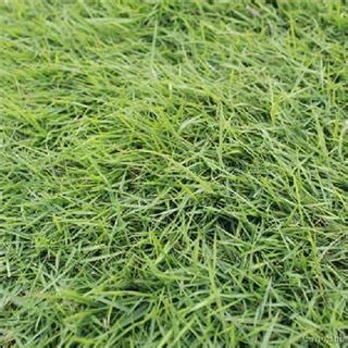 ku娱乐备用登录入口