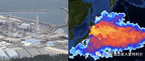 日本200吨核污水今天排海, 64种放射元素, 3年后抵达加拿大! 卫生部: 很安全, 没事! | Redian News