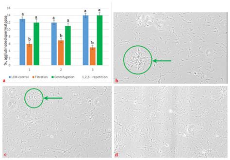 Influence of Technological Stages of Preparation of Rooster Semen for ...