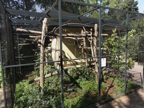ZooLex Image - Cockatoo aviary