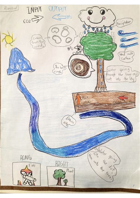 Input and Output Model 的图像结果