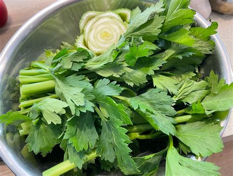 Can Chickens Eat Celery? Do’s And Don’ts Of Chicken Diets - Kidsthatdig.com