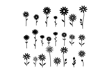 Daisy Flower Silhouette Graphic by N-paTTerN · Creative Fabrica