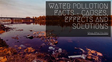 Water Pollution Causes Effects at Annabelle Parkhill blog