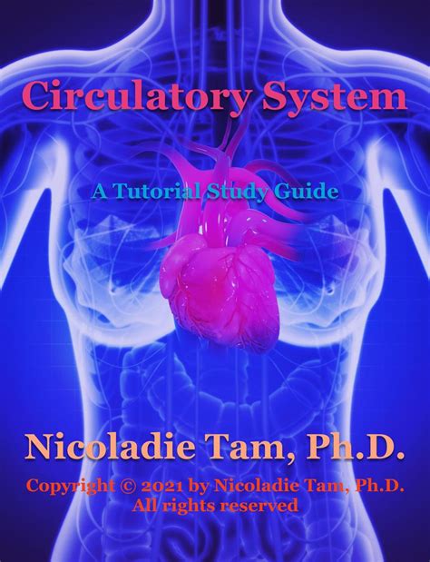 Image result for Circulatory System Tutorial