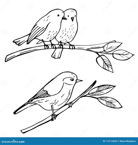 Birds Sitting on a Branch. Vector Sketch Illustration. Stock Vector ...
