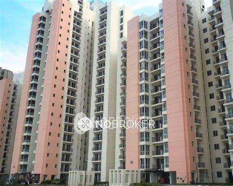 Jaypee Aman Sector 151 - Without Brokerage Unfurnished 2 BHK Flat for ...