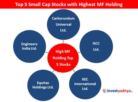 Top 5 Small Cap Stocks with Highest MF Holding – Yadnya Investment Academy