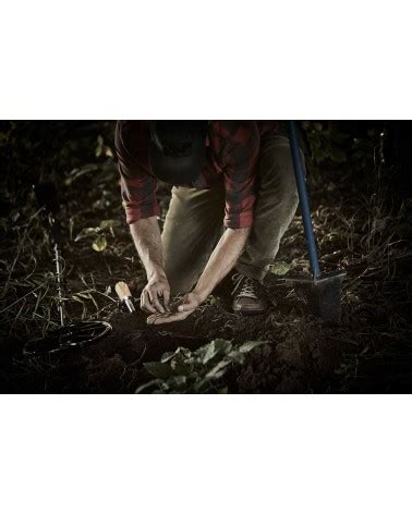 Image result for Pinpointer vs Pro. Find