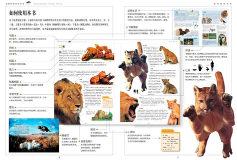 动物世界百科全书_文库-报告厅