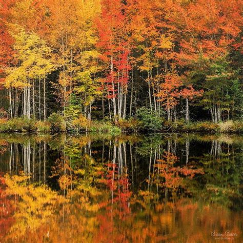 Fall 的图像结果