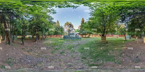 Image result for Equirectangular Forest