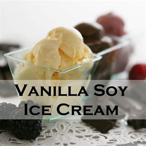 Homemade Vegan Soy Milk Ice Cream at Winston Blanton blog