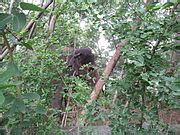 Image result for Computer Image in Bit Computer Graphic