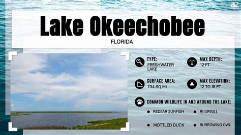 Depth Of Lake Okeechobee
