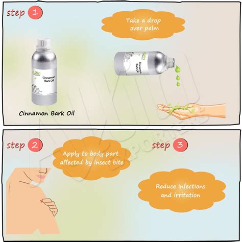 Purchase Cinnamon Bark Oil for Overall Good Health – allinexporters