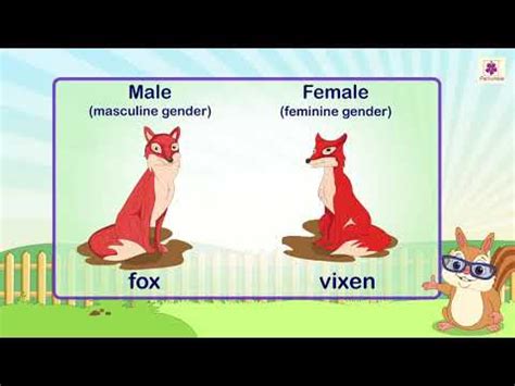 Nouns Gender Video Lecture - English Olympiad Class 4