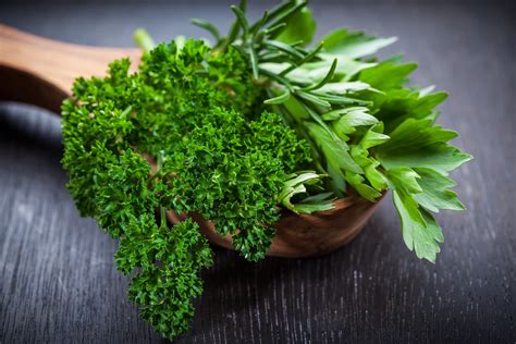 Parsley And Italian Parsley