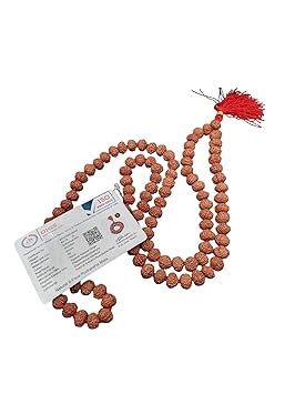 Dharmsaar 9 Mukhi Rudraksha Mala Original Certified,9 Mukhi Rudraksha ...