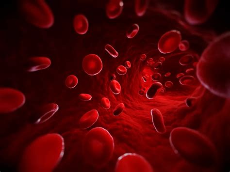 45 Facts About Universal Blood Type - OhMyFacts