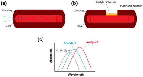 Overview of Recent Advances in the Design of Plasmonic Fiber-Optic ...