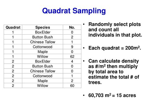 Image result for Computer Science Course Chart