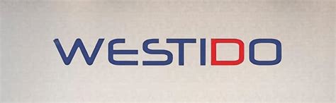 WESTIDO Leatherette 4 Seater Sofa (Finish Color - Cream Brown, DIY(Do ...