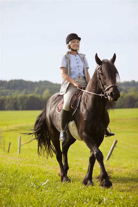 Free photo: Person Riding Horse - Motion, Sport, Seated - Free Download ...