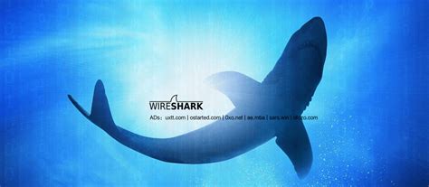 Wireshark 设置中文_wireshark1.4.3怎么改成中文-CSDN博客